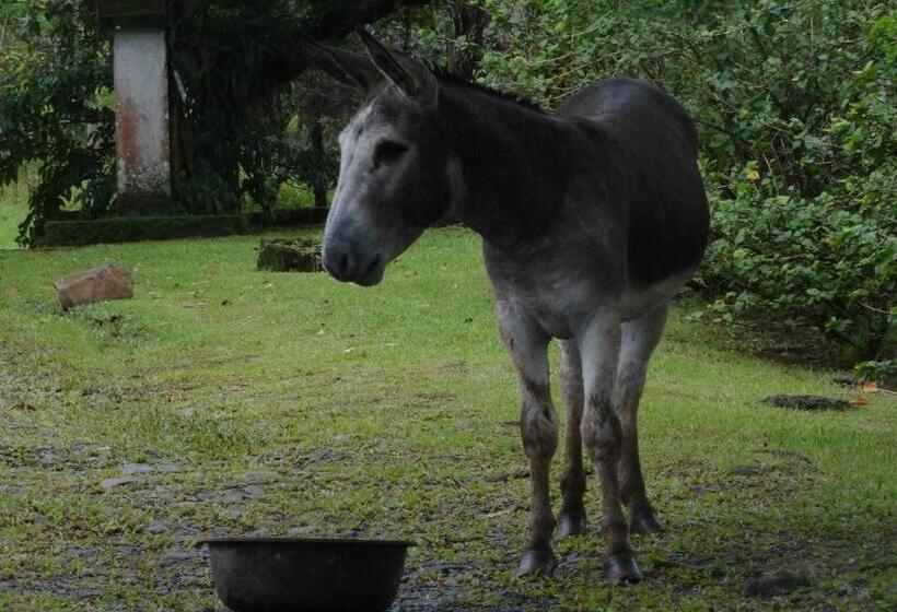 فندق Malekus Mountain Lodge
