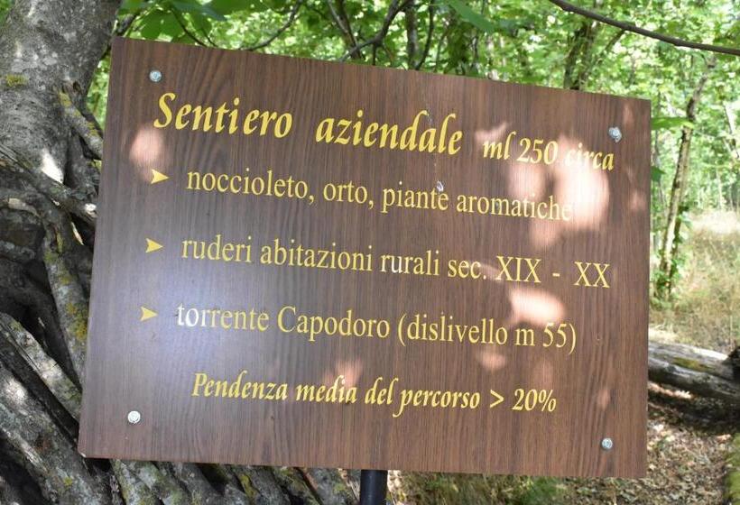 교외 호텔 Agriturismo Fontanapietra