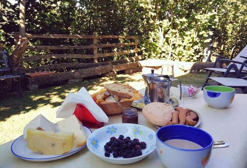 교외 호텔 Agriturismo Fontanapietra