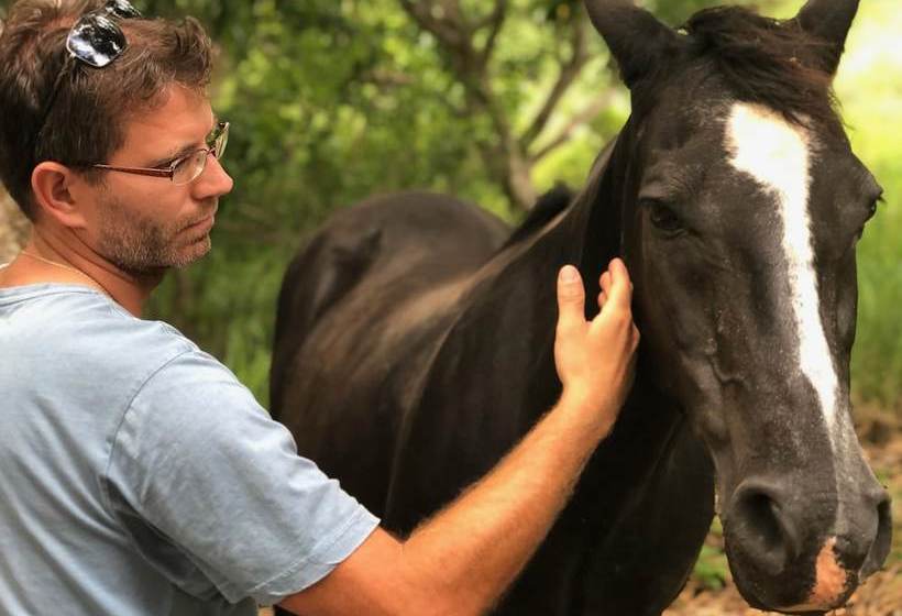 فندق Stonehouse Farm  Glamping