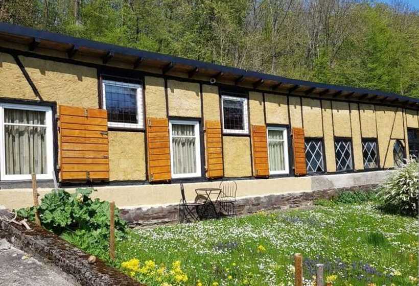 Idyllic Studio Near Forest