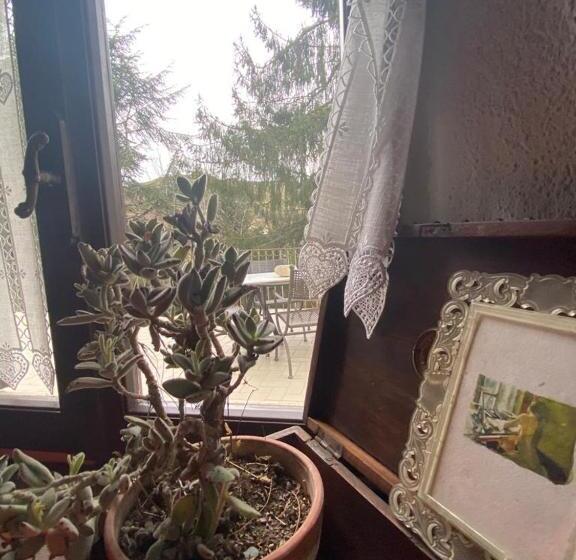 Mamota B&b