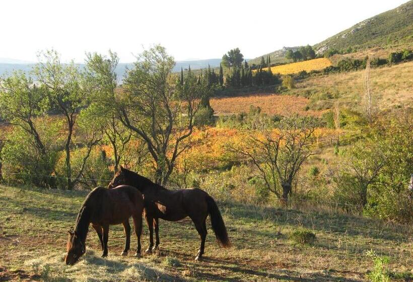 ペンション Chambres D Hôtes Gîte Saint Roch