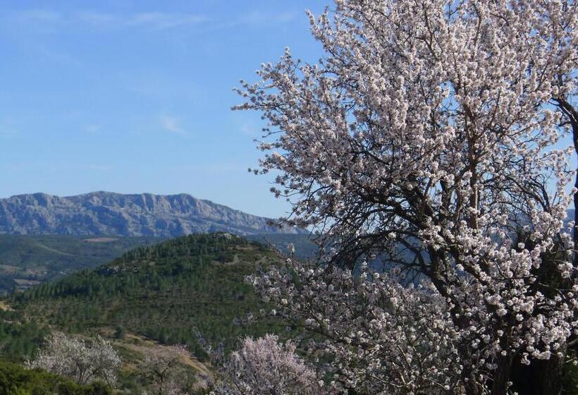 ペンション Chambres D Hôtes Gîte Saint Roch