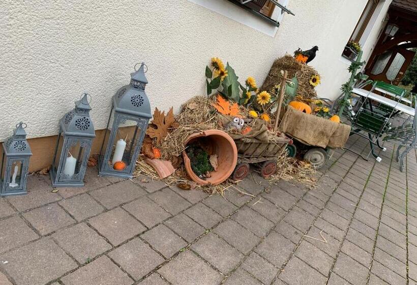 Пансион Hohe Tanne