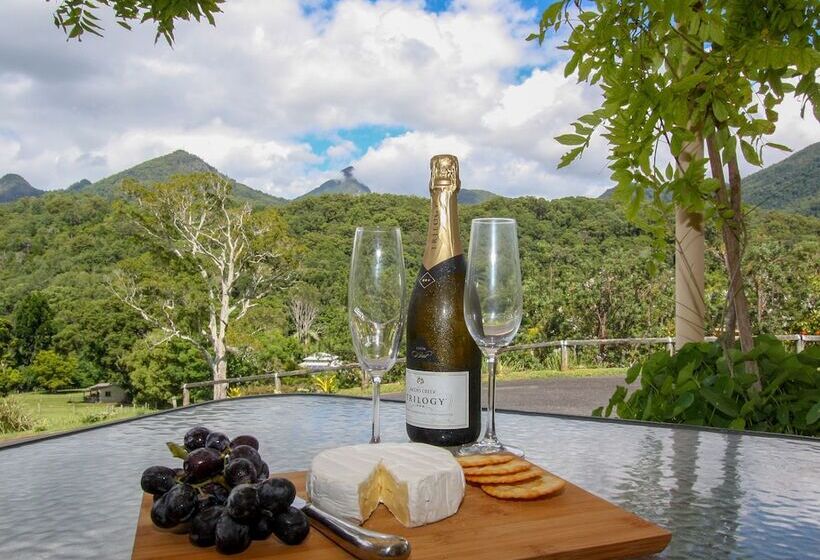 A View Of Mt Warning B&b