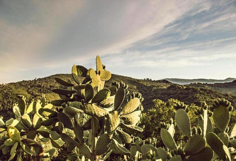 ベッドアンドブレックファースト Casale I Cirillo