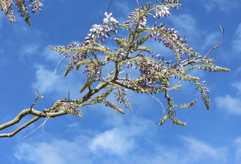 住宿加早餐  La Maison De Natasha