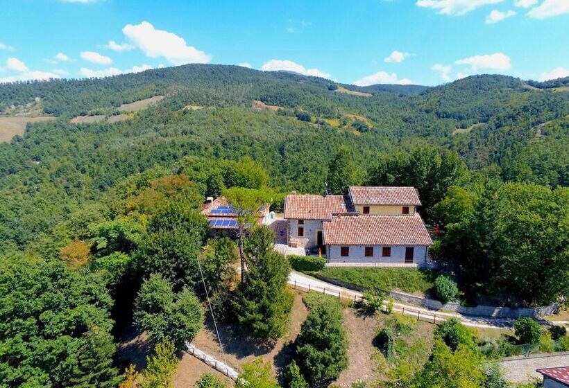 Country Cottage In Marche With Swimming Pool