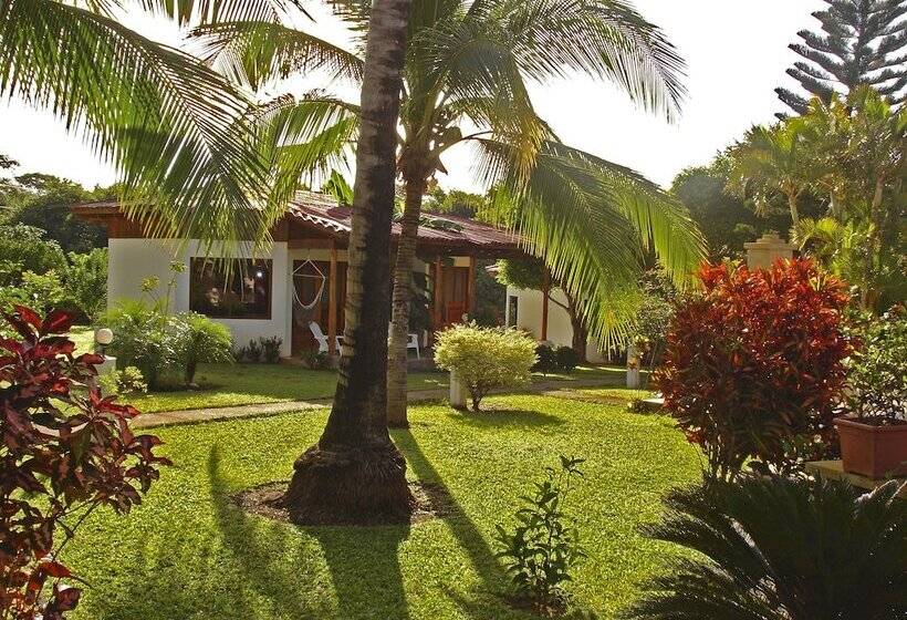 فندق Guacamaya Lodge
