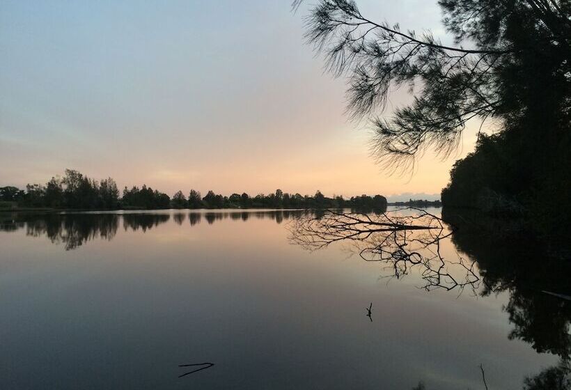 Mansfield On The Manning