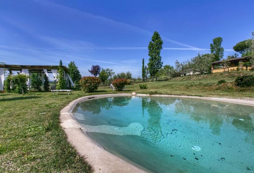 Modern Cottage In Graffignano Italy With Swimming Pool