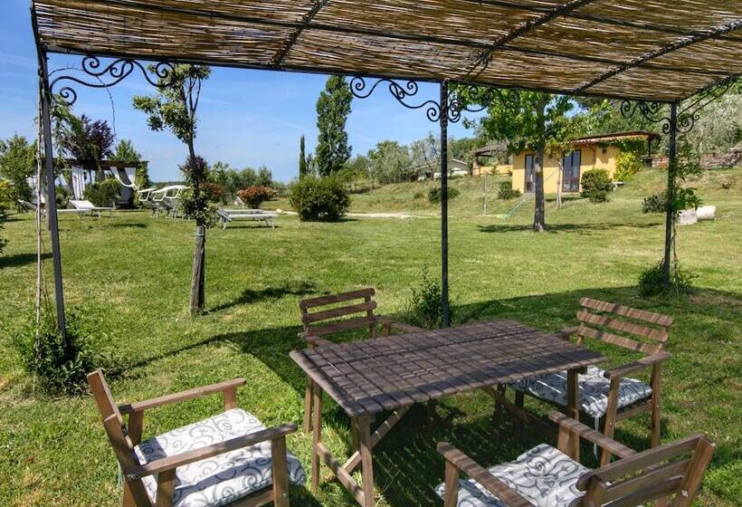 Modern Cottage In Graffignano Italy With Swimming Pool