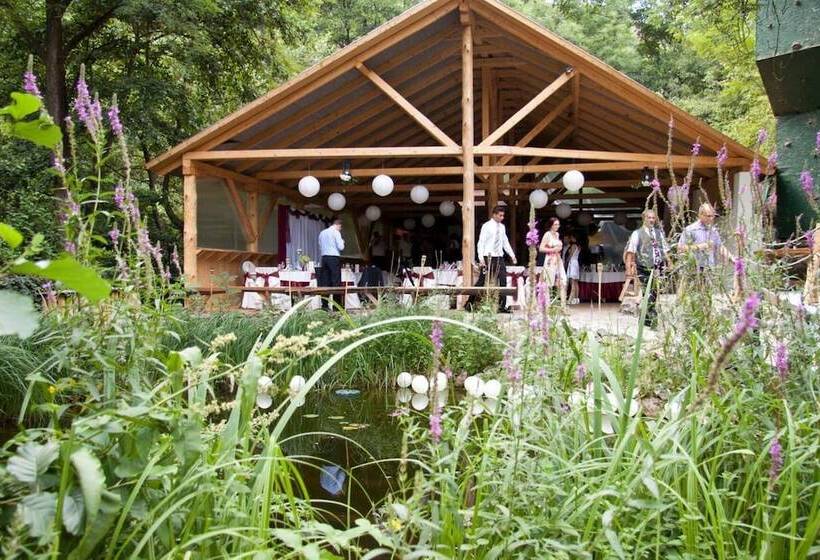 Oko Park Panzió Kemping és Rendezvényközpont