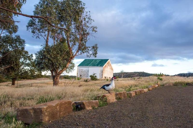 مبيت وإفطار Shearers  Quarters Rathmore