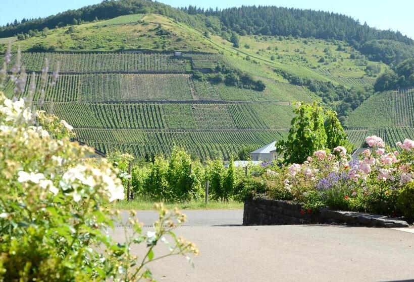 ホテル Weinkulturgut Longenschloder