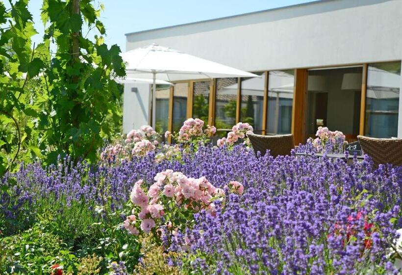 ホテル Weinkulturgut Longenschloder