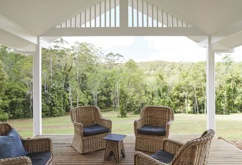 Nightcap Ridge   Byron Bay Hinterland