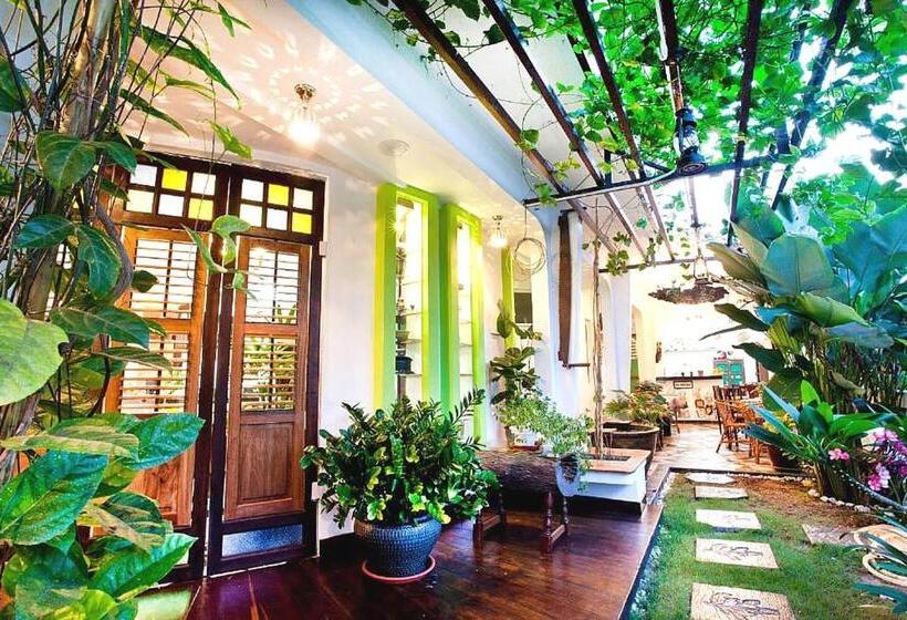 بنسيون Vince Villa