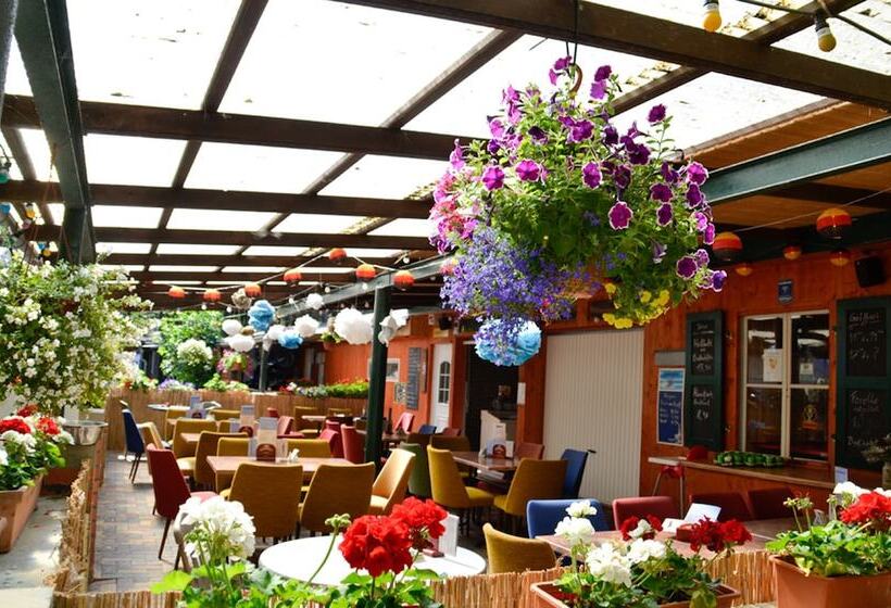 Курорт Feriensiedlung Schwalbennest