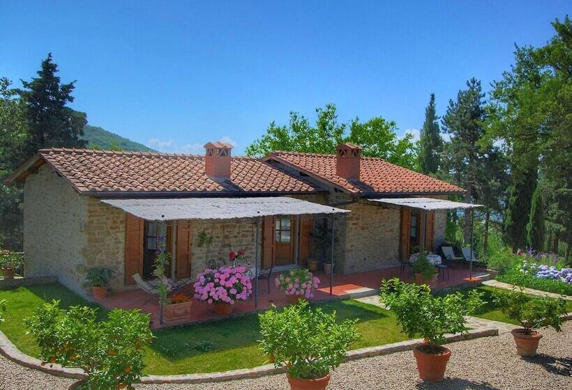 Detached Villa For 6 Pers. With Outdoor Swimming Pool