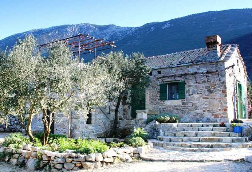 Lavender Cottage