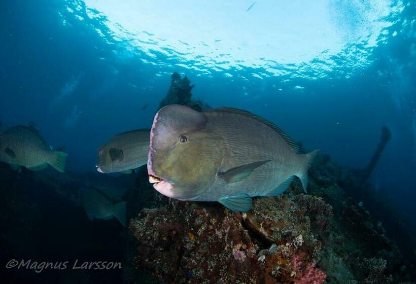 민박 Bali Dive Resort Amed