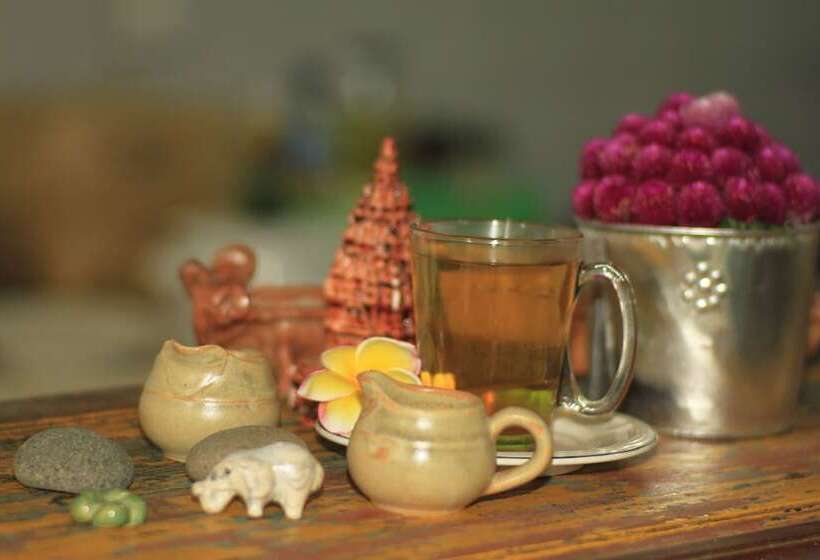 Bed and Breakfast Desa Cepaka Homestay