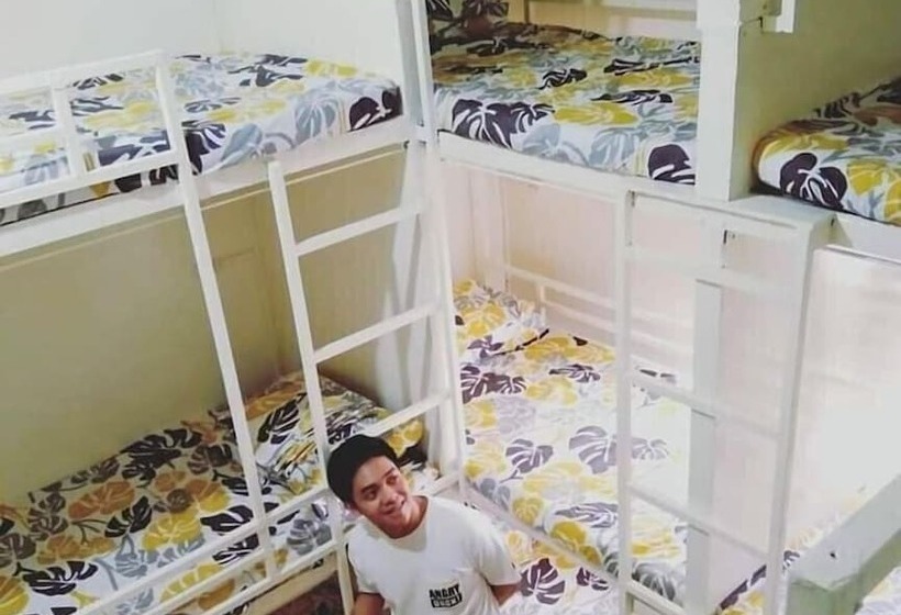 Bee Force Backpackers   Hostel