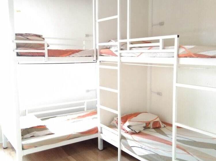 Bee Force Backpackers   Hostel