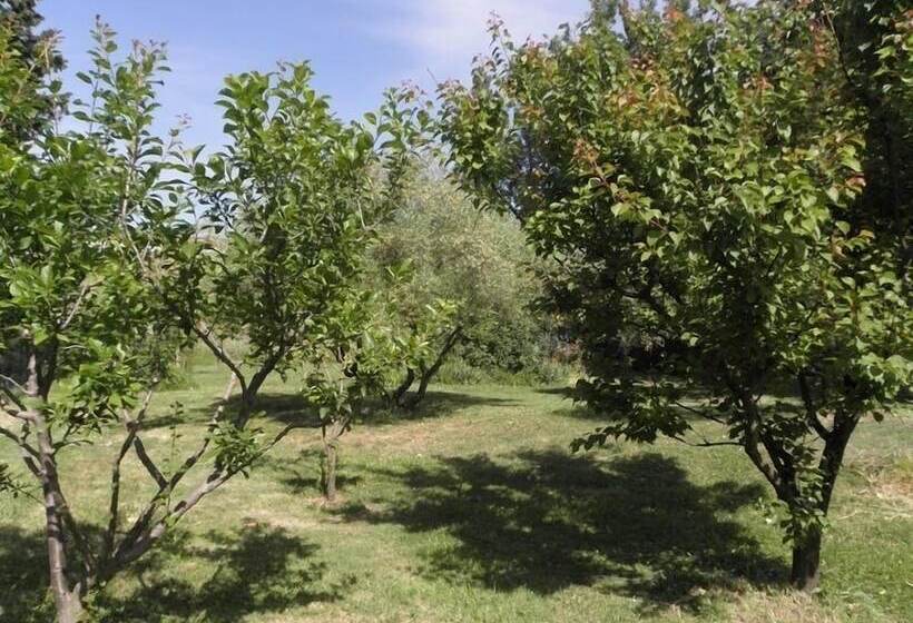 בית מלון כפרי Provence Roulottes