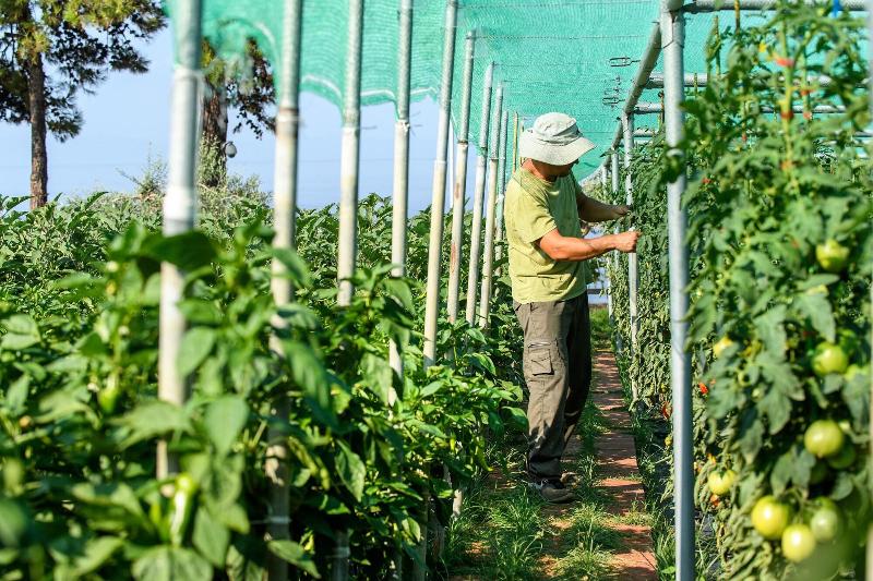 استراحتگاه Alexandra Elegance Bridging Generations