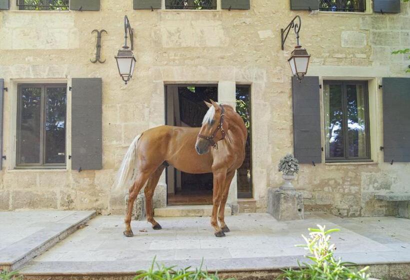 Bed and Breakfast Domaine Cap Rubis