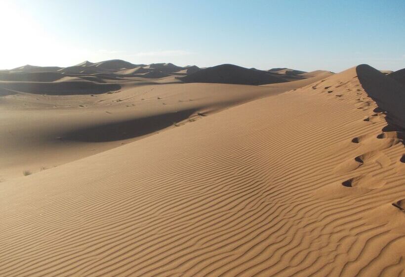 هتل Bivouac Draa   Nuit Dans Le Désert