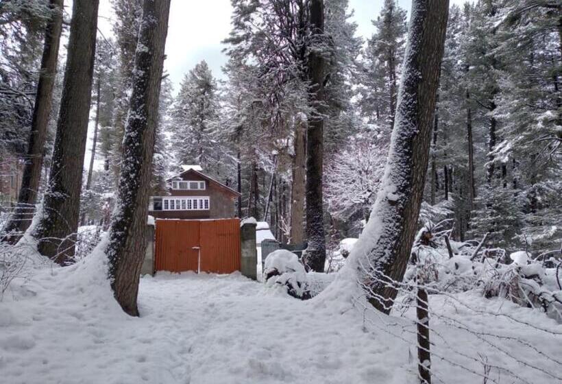 ホテル Oswal Cottage