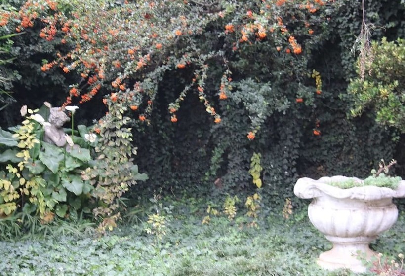 פנסיון Nmb Guest House