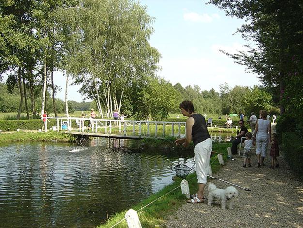 B&b Het Doctershoes