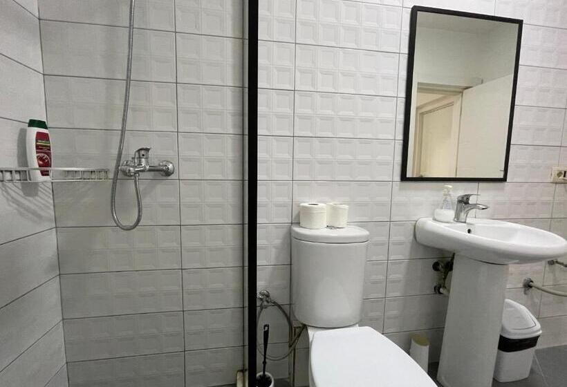 Central Studio Apartments