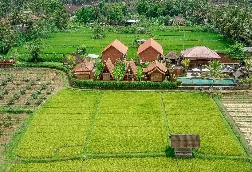 فندق Alam Kawi Ubud Resort & Spa