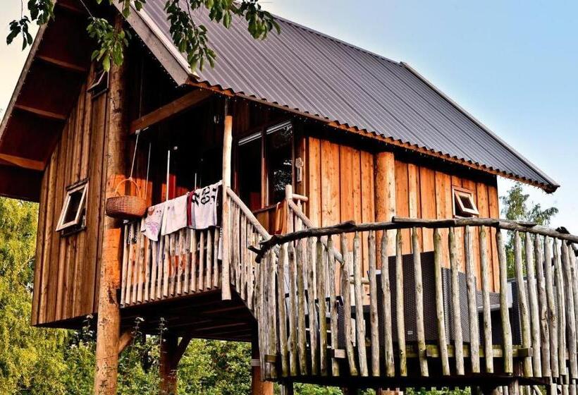 استراحتگاه Tree House