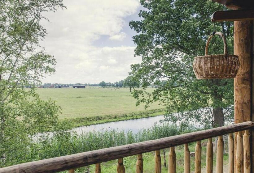 استراحتگاه Tree House
