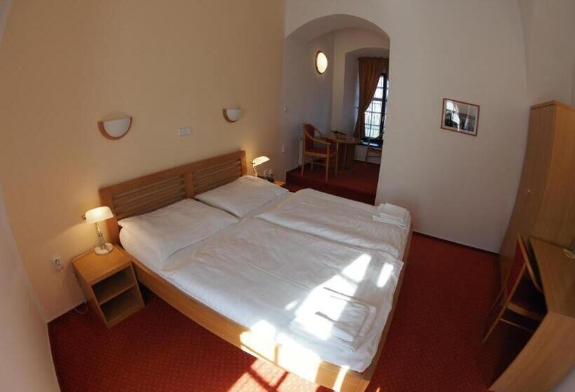 בית מלון כפרי Chateau Zamek Cejkovice