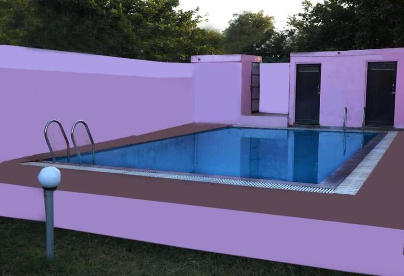فندق The Forest View Resort