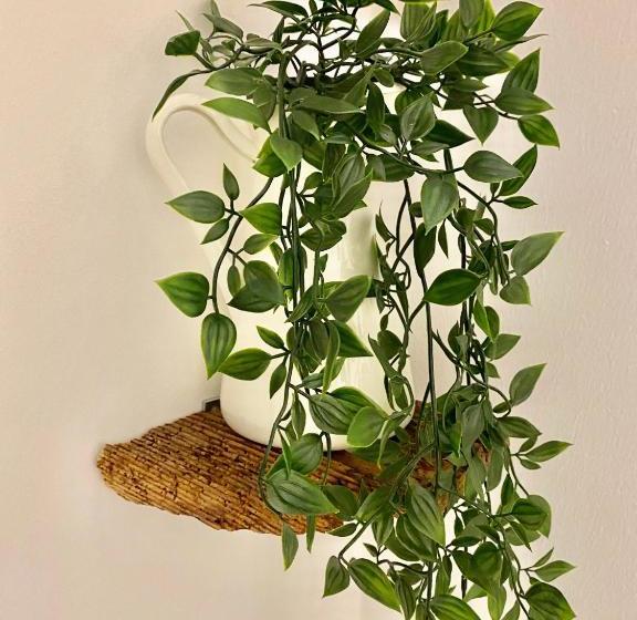 בית מלון כפרי Waitzingers