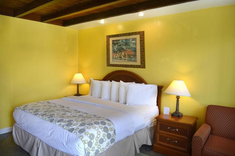 בית מלון כפרי Daytona Dream Inn By Amerivu