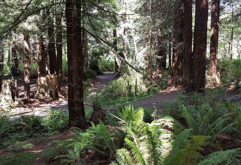 Hotel Emerald Forest Cabins