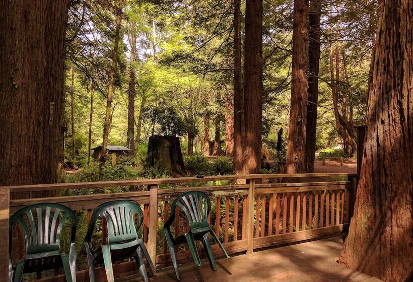 호텔 Emerald Forest Cabins