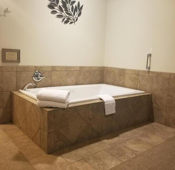 Отель Grand View Inn & Suites