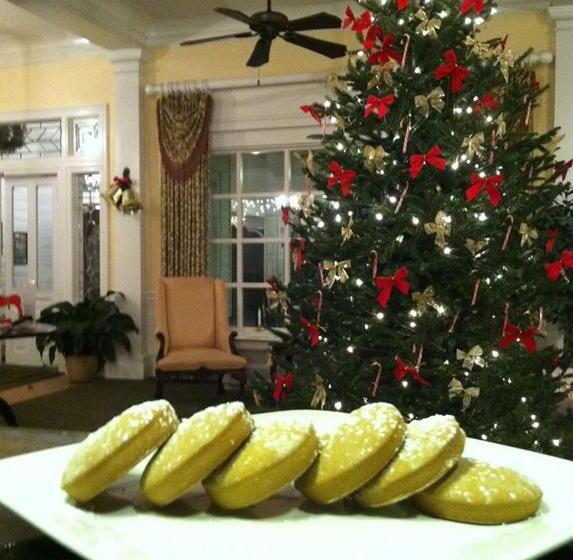 فندق Green Park Inn