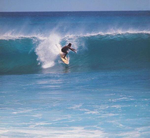 فندق Little Inn By The Bay Newport Beach